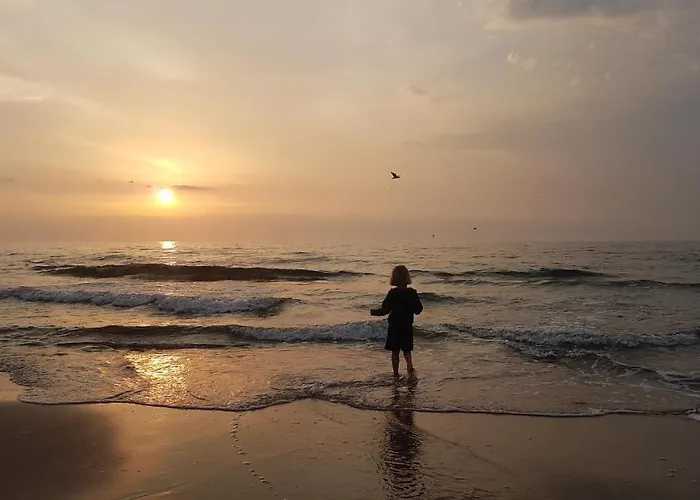 La Playa Przy Plazy ポビエロボ